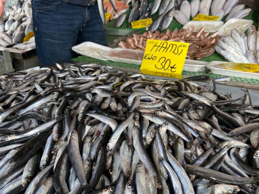 Yasaklar işe yaradı, hamsi boyları uzadı