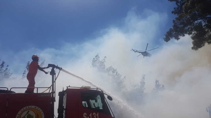 Antalya’da orman yangını