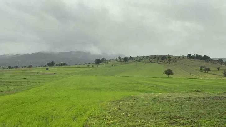 Baharda sisle buluşan Ilgaz Dağı’nın eteklerinde ortaya çıkan manzara mest etti
