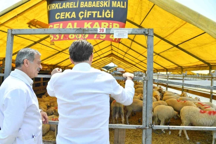 Bahçelievler Belediyesi Kurban Bayramı hazırlıklarını tamamladı
