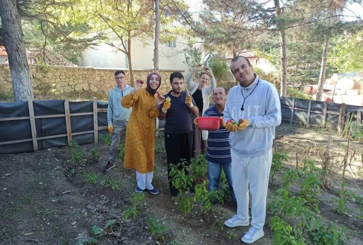 Bahçeye dikilen meyve ve  sebzelerin hasadı yapıldı
