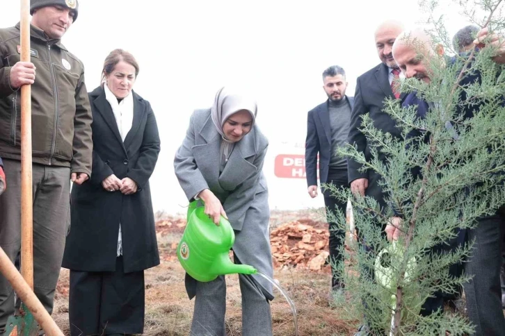 Bakan Göktaş deprem şehitleri adına fidan dikti
