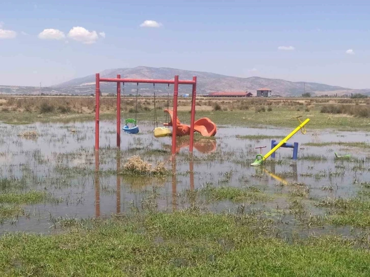 Bakımsız kalan kanallar merayı bataklığa çevirdi
