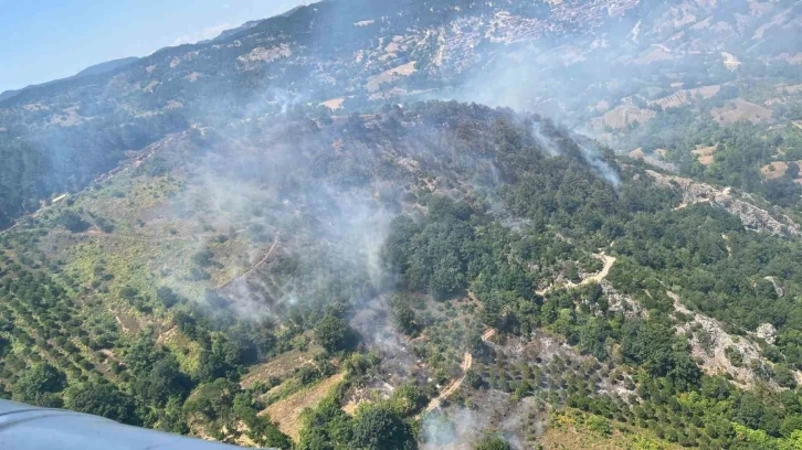 Balıkesir’de orman yangını
