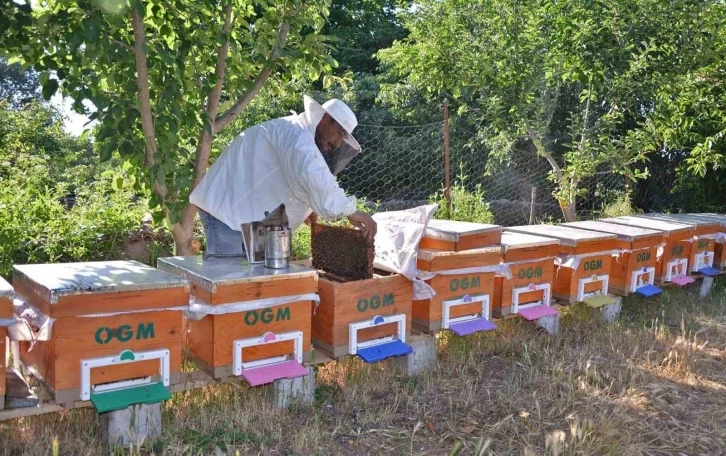 Balıkesir’in Bal şehri olduğu tescillendi
