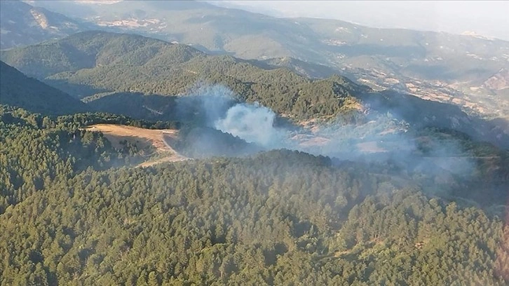 Balıkesir İvrindi'de çıkan orman yangını kontrol altına alındı