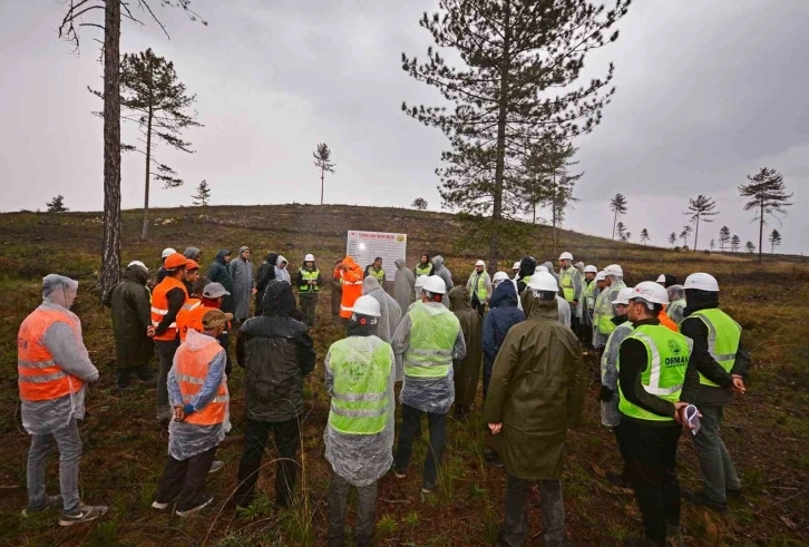 Balıkesir OGM Silvikültür Eğitimlerine Devam Ediyor
