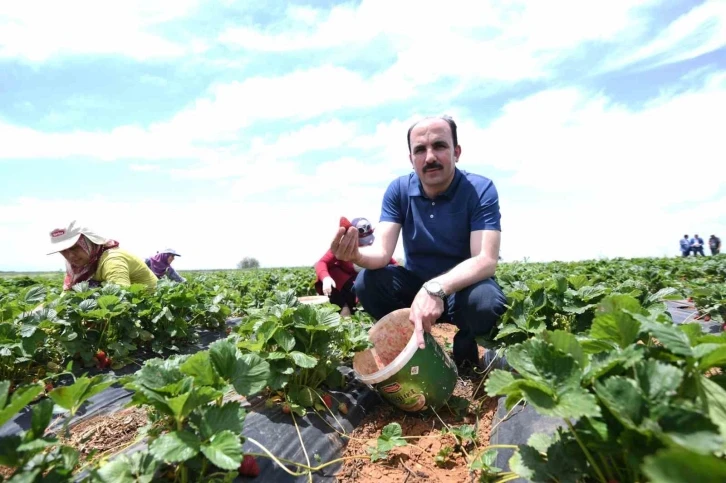 Başkan Altay: “Hüyük çileği AB tescili alan Konya’mızın ilk ürünü oldu, hayırlı olsun&quot;
