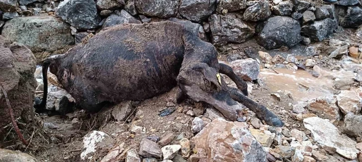 Batman’da sağanak yağış nedeniyle köy yolları bozuldu