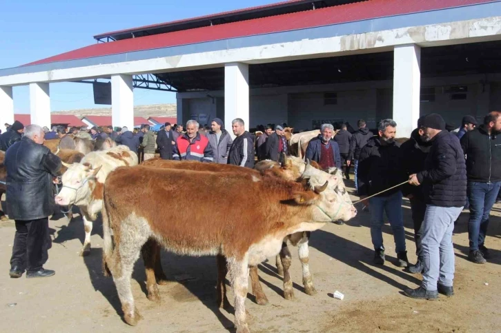 Bayburt’ta Kurban Bayramı heyecanı
