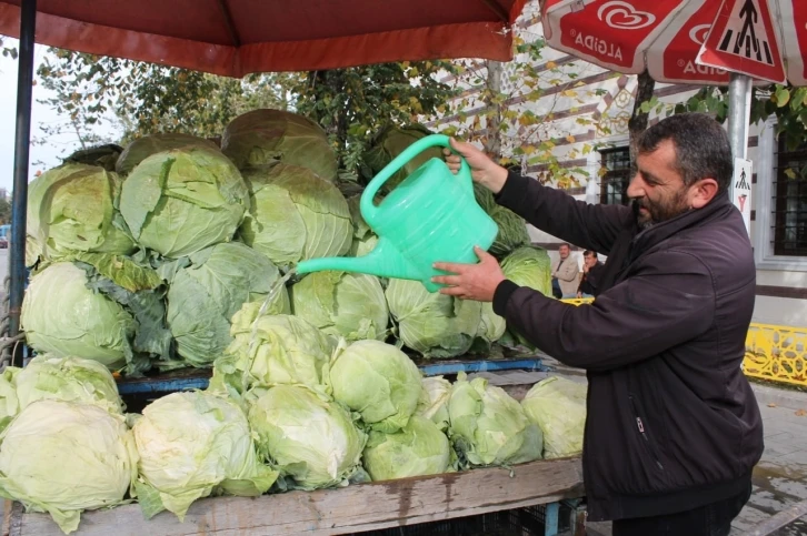 Bayburt’ta organik tarımla üretilen organik lahanalar tezgahta yerini aldı
