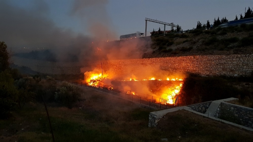 Şehir merkezindeki ot yangını korkuttu