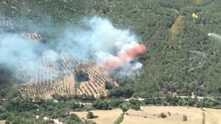 Bergama’daki orman yangınında bir mahalle tahliye edildi
