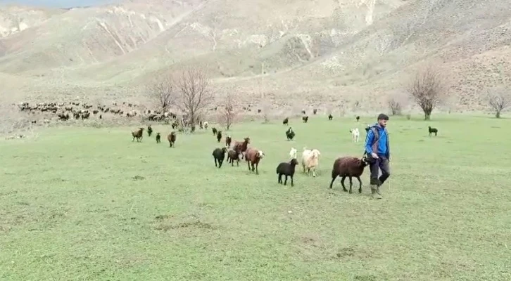 Besicilerin bayramda da mesaisi sürüyor
