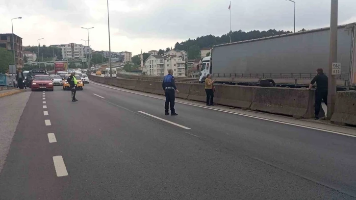 Beton bariyerlere sıkışan kedi için trafiği durdurdular: "Helal olsun size"
