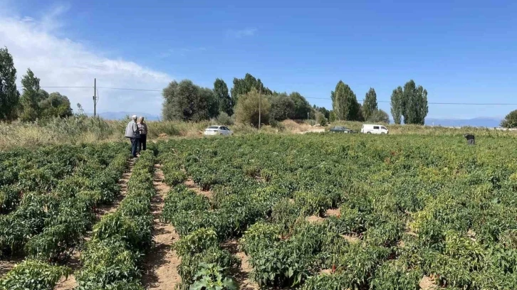 Beyşehir’de çiftçiler ürün zararlılarına karşı bilgilendiriliyor
