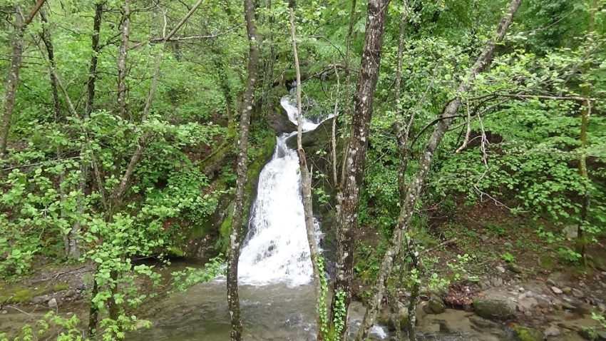 Kazdağları’na bahar ile birlikte gelen eşsiz güzellik