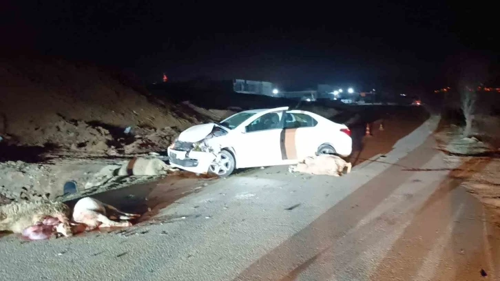 Bilecik’te otomobil koyun sürüsüne çarptı, 1 kişi yaralandı
