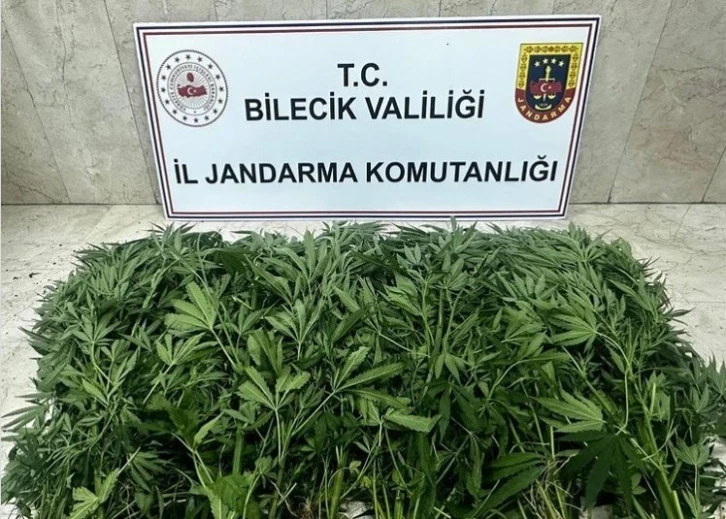 Bilecik’te uyuşturucu operasyonu: 2 şüpheli tutuklandı
