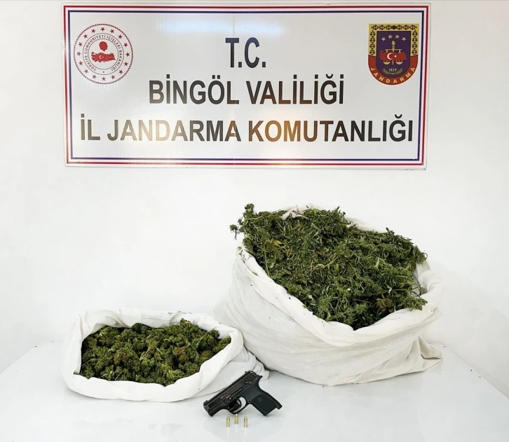 Bingöl’de 12 kilo esrar ele geçirildi: 1 gözaltı
