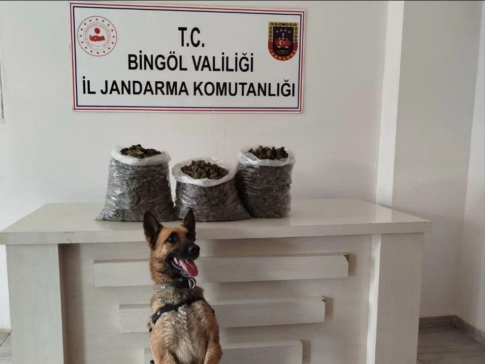 Bingöl’de 4,5 kilo esrar ele geçirildi
