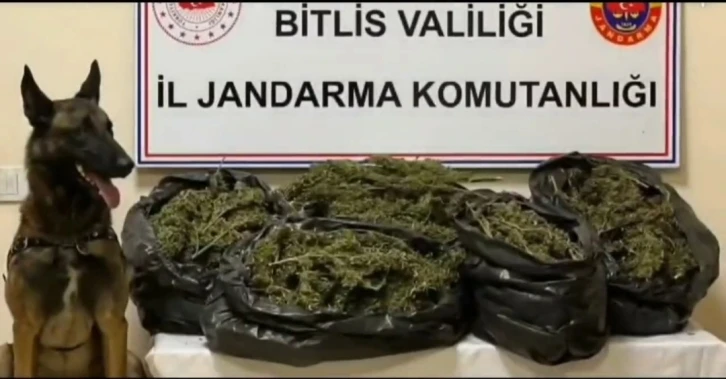 Bitlis’te 10 kilo 200 gram skunk maddesi ele geçirildi
