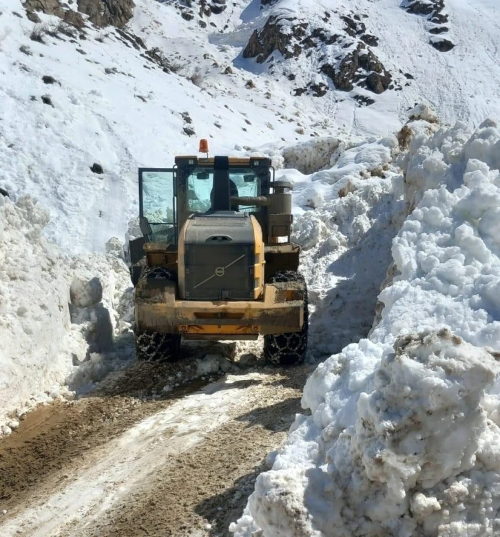 Bitlis’te bütün köy yolları açıldı
