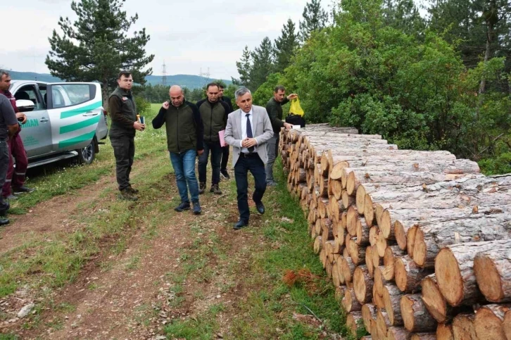 Bölge Müdürü Erdal Dingil, Tavşanlı ve Simav’da incelemelerde bulundu
