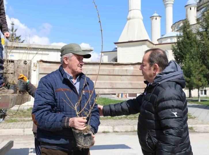 Bolu Belediyesi mahallelerde fidan dağıtıyor
