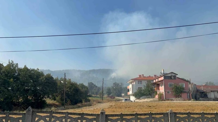 Bolu’da 12 farklı noktadaki yangın 3’e indirildi
