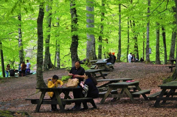 Bolu’nun doğa harikasında insan faaliyetleri doğal dengeyi bozuyor
