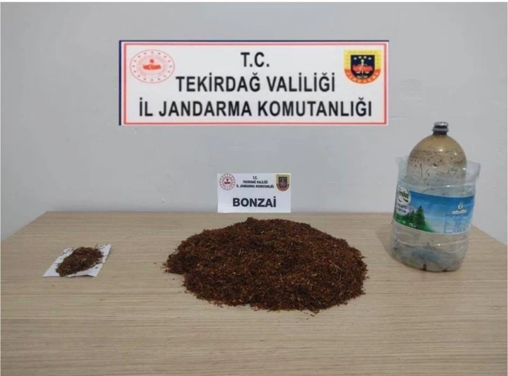 Bonzai, esrar ve tabancalar ele geçirildi
