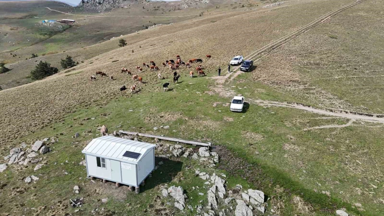 Bu evler çobanlık mesleğini cazip hale getiriyor, hayvansal üretime katkı sağlıyor
