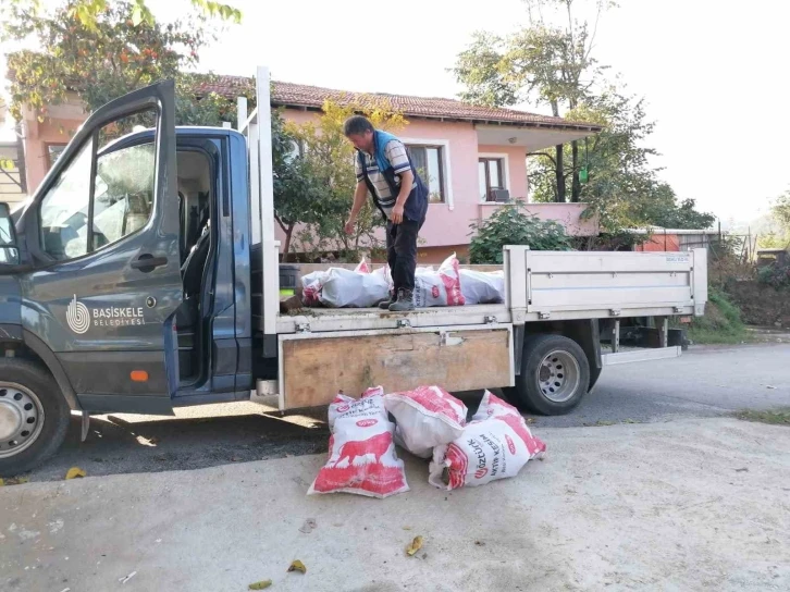 Budanan ağaçlar ihtiyaç sahiplerine yakacak oluyor
