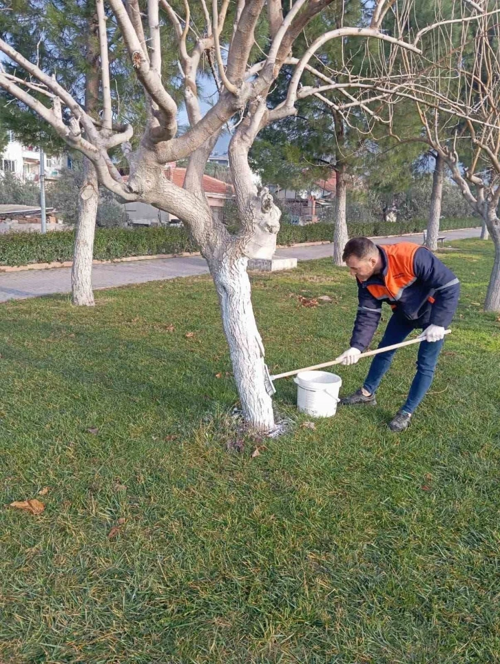 Buharkent Millet Bahçesi yaza hazırlanıyor
