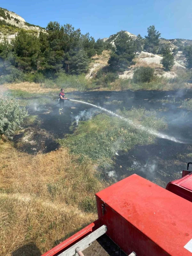 Burdur’da ekin yangını hayvan barınağına sıçramadan söndürüldü
