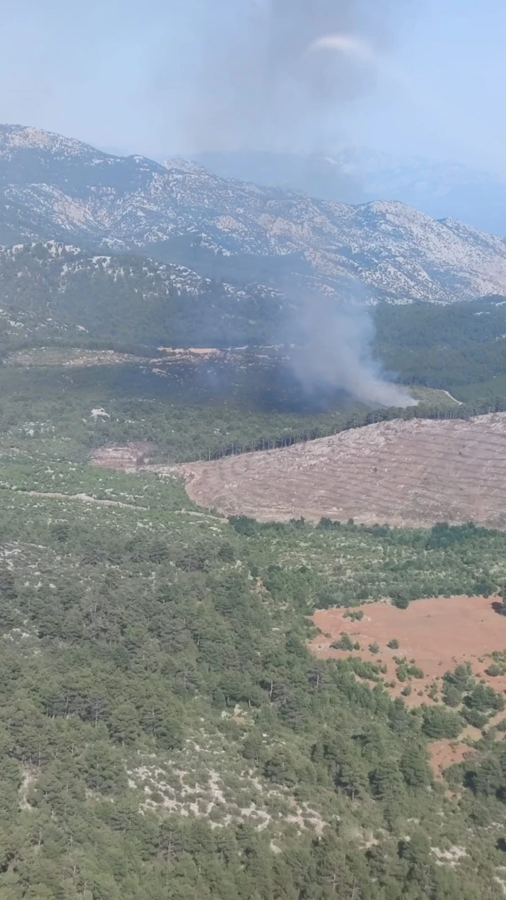 Burdur’da orman yangını
