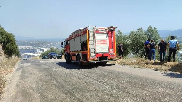 Bursa'da 2 farklı zeytinlikte yangın