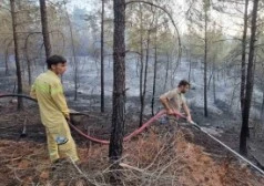 Bursa’da çıkan orman yangın