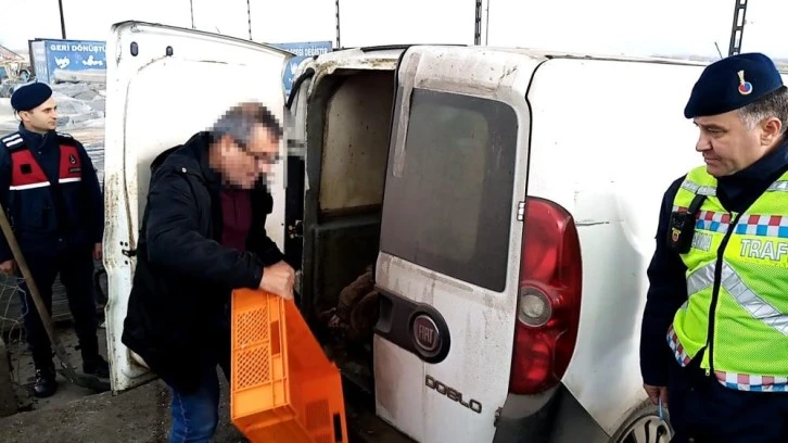 Bursa'da jandarma 700 kilo kaçak sakatat ele geçirdi