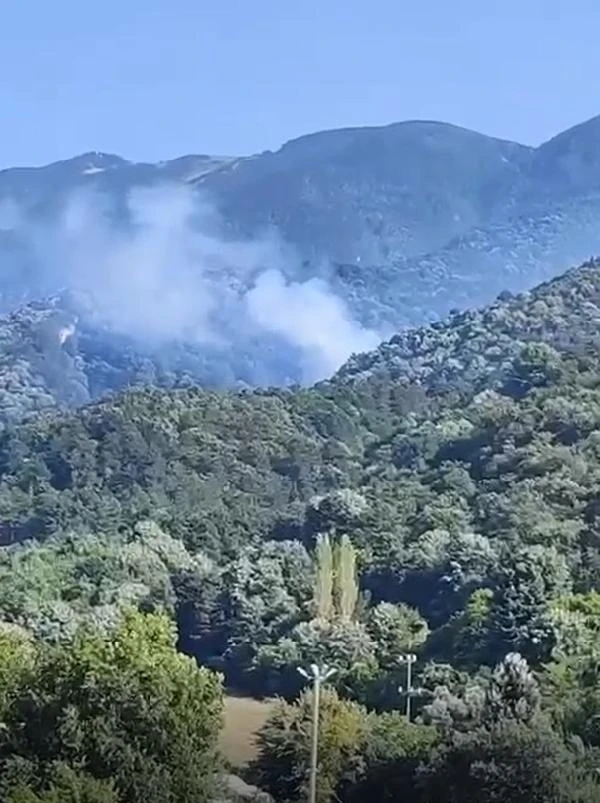 Bursa’da orman yangını