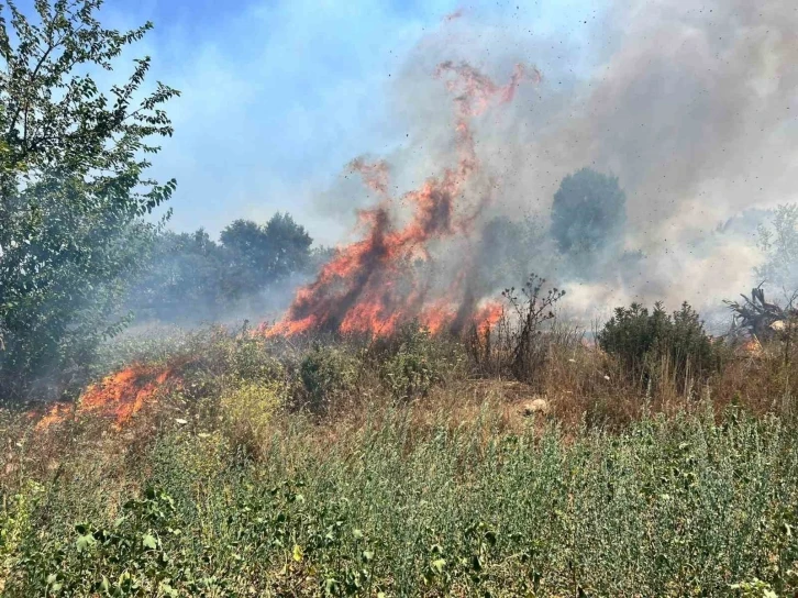 Bursa’da otluk alanda çıkan yangın büyümeden söndürüldü