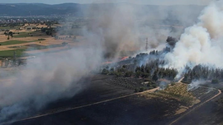 Bursa’daki yangın ormana sıçradı