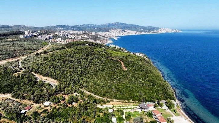 Bursa'nın deniz manzaralı çamlık orman ihalesine en yüksek fiyat özel sektörden