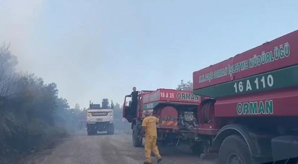 Karacabey'deki orman yangını kontrol altına alındı 