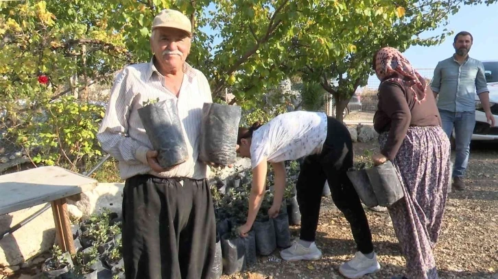 Büyükşehir’den çiftçiye keçiboynuzu desteği
