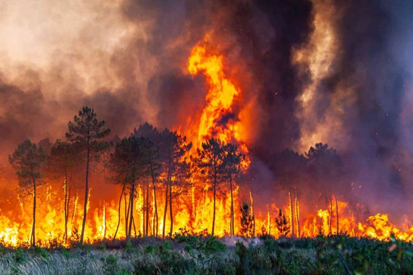 30 farklı noktada yangınla mücadele sürüyor