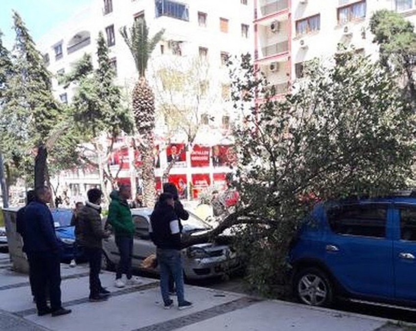 İzmir’de şiddetli fırtına: Çatılar uçtu, ağaçlar devrildi