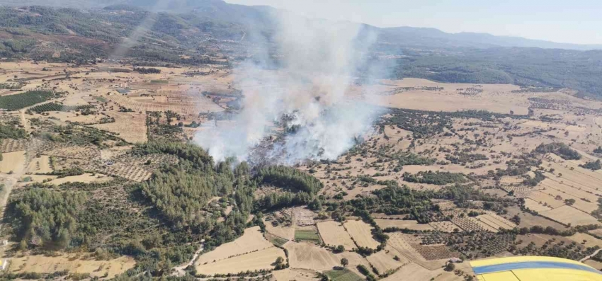 Yangına havadan ve karadan müdahale devam ediyor