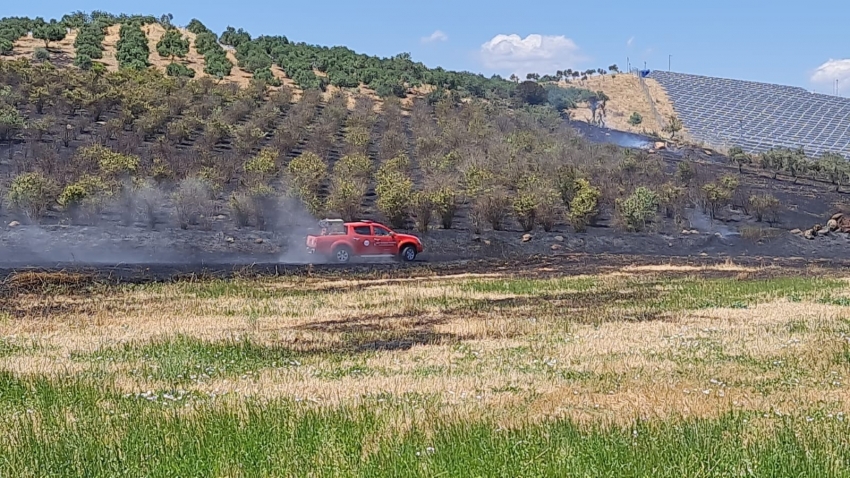 Büyük arazi yangını: 40 dönüm arazi kül oldu